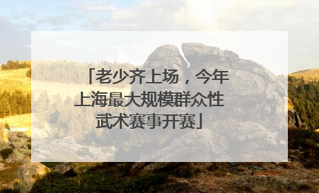 老少齐上场，今年上海最大规模群众性武术赛事开赛